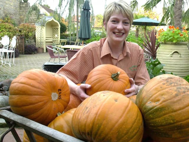 Pumpkin picking is just one of many activities you can enjoy this half term.