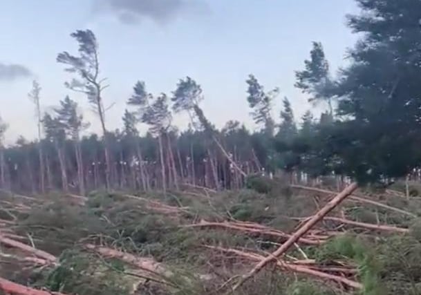 This picture shows the devastation caused by Storm Arwen in East Lothian at the John Muir Country Park in Dunbar. Pine trees lie strewn across the country park ground as high winds from the winter storm brought wreckage across the east of Scotland and other parts of the country. 
John Largue, who posted a video showing the damage on Saturday morning, said: “John Muir country park in Dunbar completely devastated by Storm Arwen.”