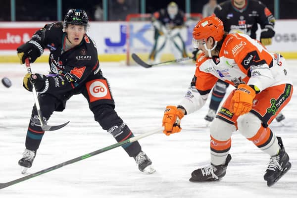 Sheffield Steelers' Marco Vallerand closes in during Steelers' defeat to Belfast Giants