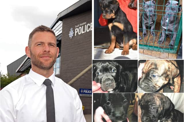 DCI Jamie Henderson, of South Yorkshire Police, has issued a warning after a number of dog thefts