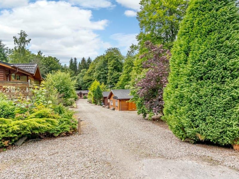 Set on the site of Birnham Wood (made famous by Shakespeare's Macbeth), near Dunkeld in the heart of Perthshire, Erigmore Holiday Park is a breathtaking woodland retreat. There's a bar, pool table, indoor pool, restaurant, whirlpool bath, sauna, table tennis, 5-a-side pitch, play area and plenty of woodland and riverside walks.