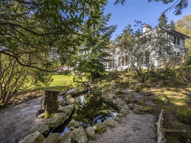 Lower pond.