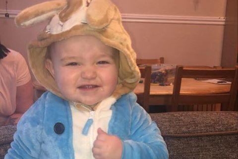 Robyn Hansford, 1, from Portsmouth dressed as Peter Rabbit for World Book Day.