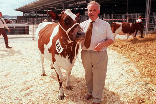 Lew Morrell with his prize winning Heffer in calf back in 1998