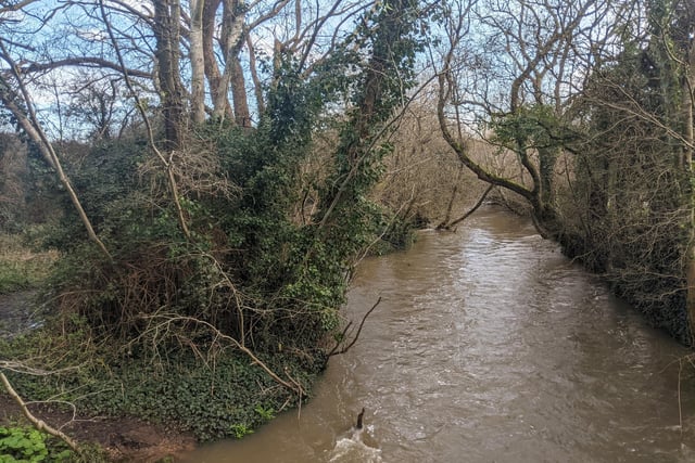 Although it can get pretty muddy, walking along Wallington River and through the nearby fields can really feel like you're getting back to nature without being too far from the town.