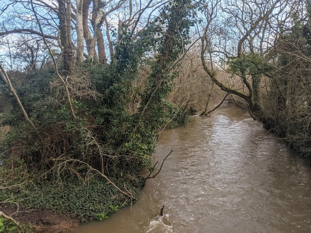 Although it can get pretty muddy, walking along Wallington River and through the nearby fields can really feel like you're getting back to nature without being too far from the town.