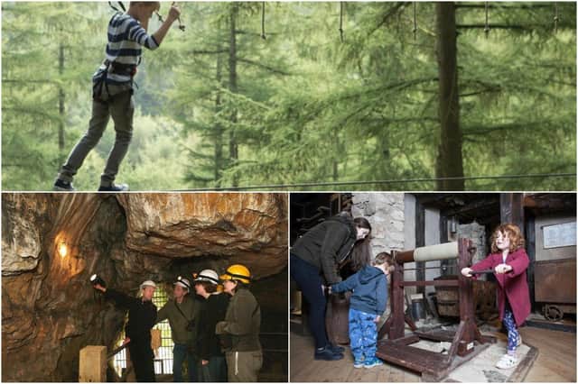 Walk the high wire at Buxton's Go Ape,  look at prehistoric rock art at Creswell Crags or find out all about Derbyshire's lead miners at the Peak District Mining Museum in Matlock Bath.