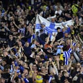 PASSIONATE: Sheffield Wednesday supporters at Hillsborough