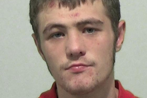 Geldard, 20, formerly of Earlston Street, Carley Hill, Sunderland, was sentenced to 19 months in a young offenders' institute for assault occasioning actual bodily harm, criminal damage and breach of a community order