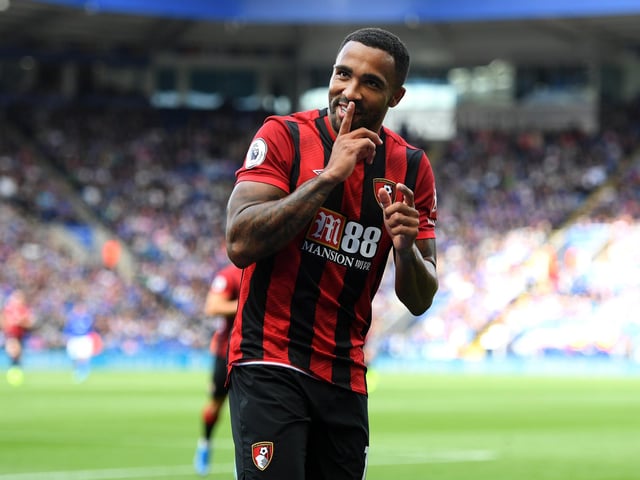 Total shots at goal: 177. Total goals: 29. Highest proportion of team goals: Callum Wilson (27.6%).