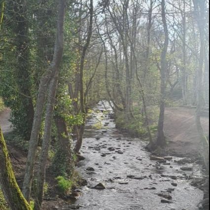 Rivelin Valley Nature Trail.