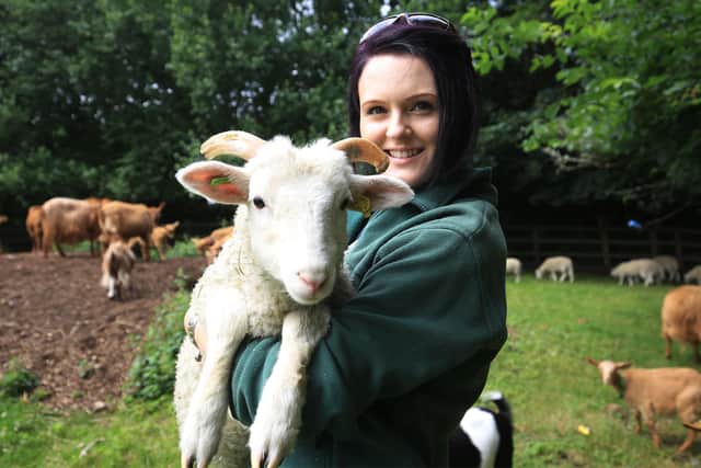 Feature at Heeley City Farm. Pictured is Rachel Gilbert. Picture: Chris Etchells