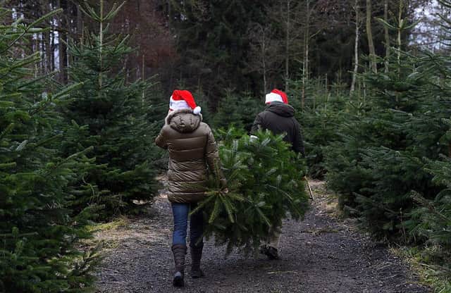 Places in Notts to buy real Christmas trees.