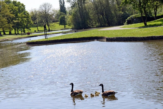 The site was officially opened as a park in 1940 on the site of a former brickyard. The park was known locally as the 'Boating Lake' as there used to be small boats available for visitors, before it changed its use to angling. Sandall Park offers public toilets, a range of play facilities, free car parking, a cafe and plenty of open recreational space to enjoy the open air.