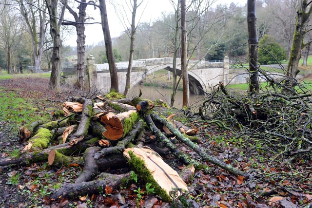 Branches have been cleared from the pathway near the estate's Lamb Bridge.