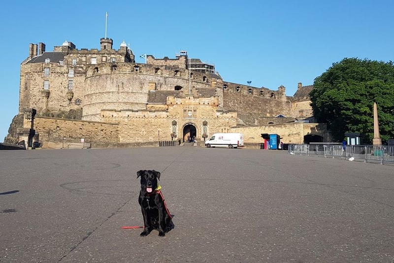 Meet Charlie who sits proudly outside Edinburgh Castle after walked the city's seven hills - Corstorphine Hill, Castle Esplanade, Calton Hill, Arthur's Seat, Blackford Hill, Braid Hill, and Craiglockhart Hill.
He's earned a treat! (Pic: Jen Swinton)