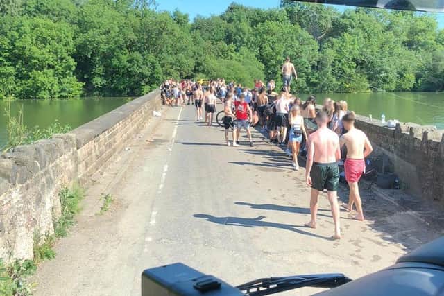 Dozens were seen jumping into the reservoir at Ulley Country Park yesterday.