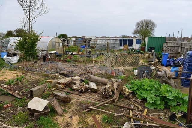 The cost of renting an allotment in Sheffield is set to rise by 5.1% in 2028