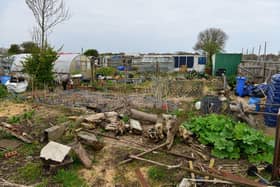 The cost of renting a council allotment in Sheffield is also set to rise by 5.1% in 2027-8