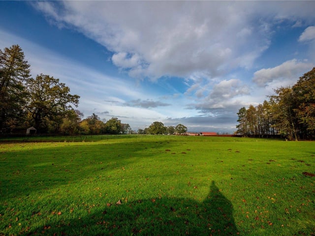 Grounds.
