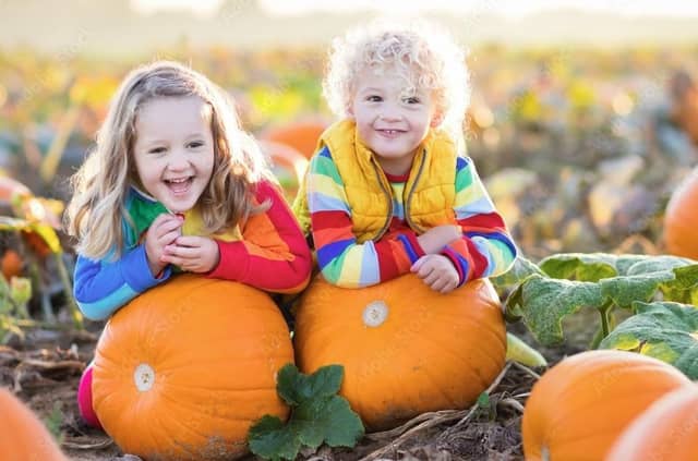 Where will you take your family to pick pumpkins in Derbyshire this autumn?