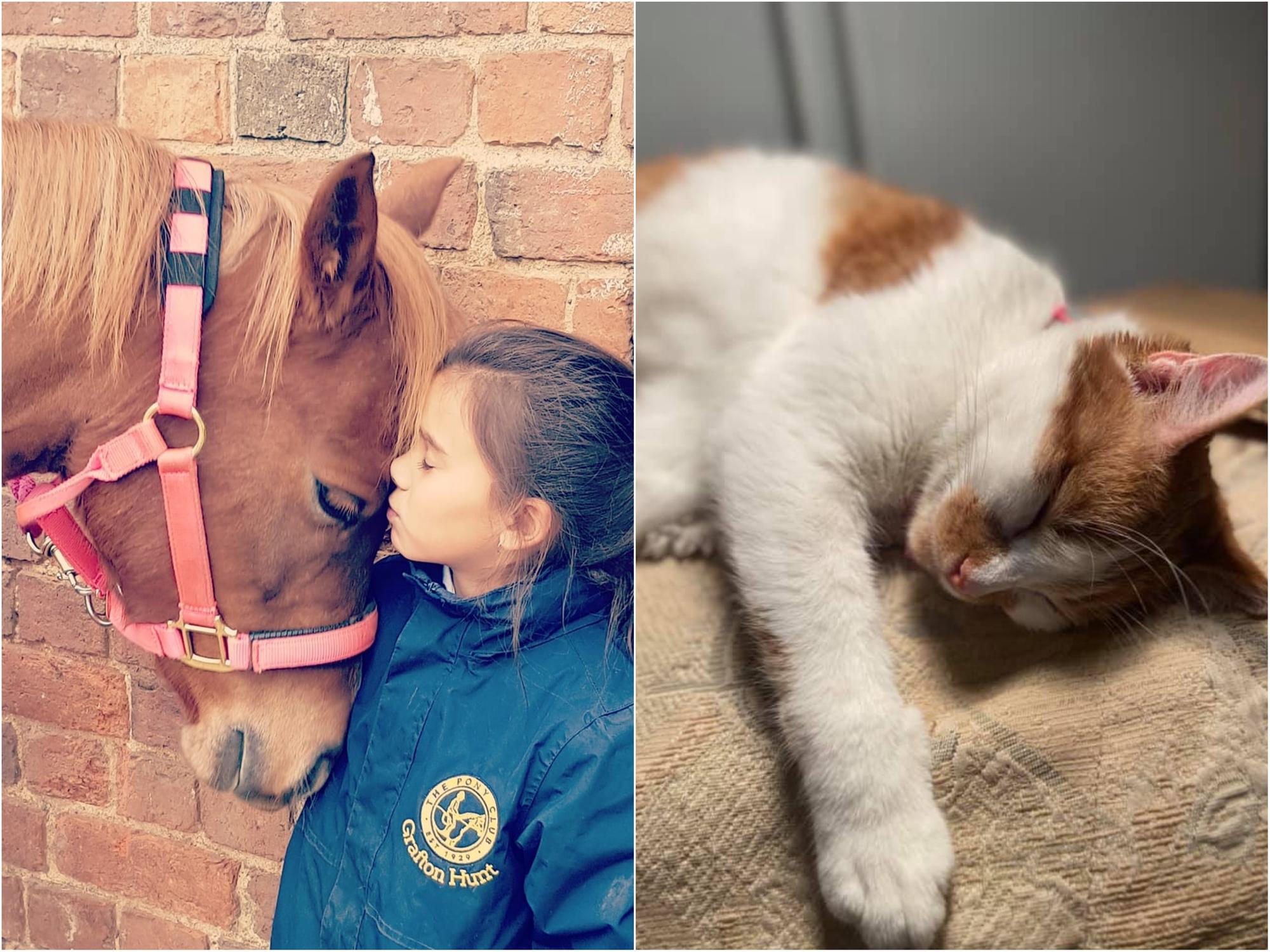 Readers across Northampton have been sending in their most precious pictures with their new furry additions to their family during lockdown.