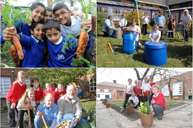 We have 9 South Tyneside school garden photos for you to enjoy from the Shields Gazette archives. Take a look.