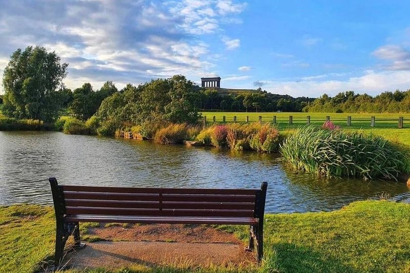 For a lake side picnic you'd be hard pushed to find somewhere prettier than Herrington Country Park - just watch out for the swans nicking your sandwiches. Photo by Seaham Beach Treasures.