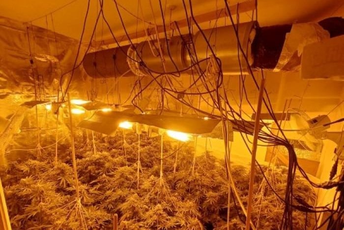 Cannabis farms require ventilation that is often hastily installed in the factory and will be much bigger than what would ever normally be used in a house. The constant noise of a fan could be for ventilation for cannabis grows.