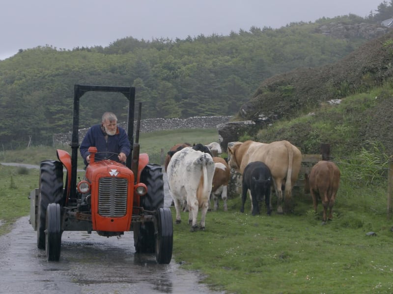 Lawrence MacEwen has farmed the Isle of Muck since the late 1960s