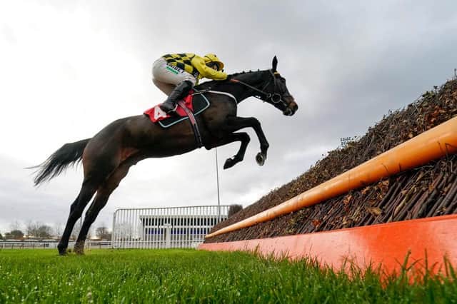 Shishkin, pictured in action at Kempton Park Racecourse. Photo: Alan Crowhurst/Getty Images