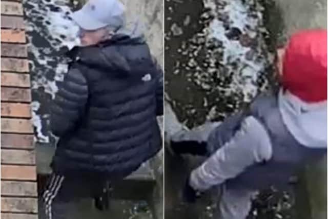 Police would like to speak to the two males pictures.