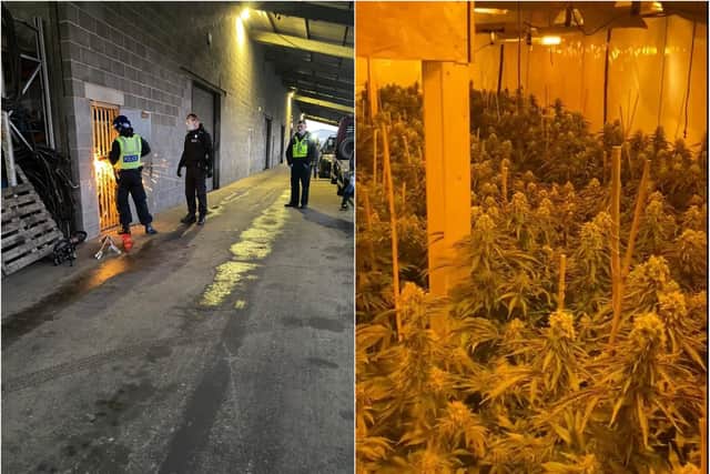 A cannabis factory was discovered during a raid of an industrial unit in Ecclesfield, Sheffield, this week