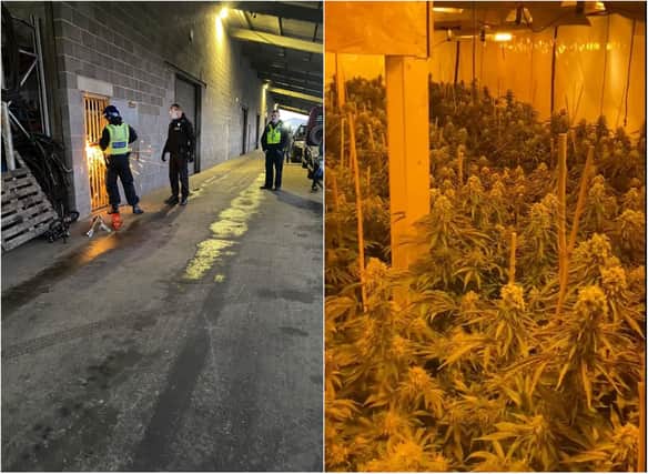 A cannabis factory was discovered during a raid of an industrial unit in Ecclesfield, Sheffield, this week