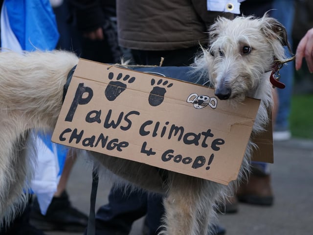 Even the pups were out protesting! This cutie carried a cardboard sign that said 'Paws climate change 4 good'.
