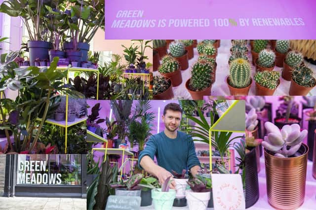 Edinburgh plant enthusiast Andrew Forbes standing in his new shop Green Meadows picture: JPI Media/Lisa Ferguson