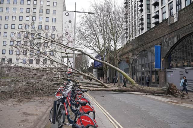 A fallen tree near Waterloo in London, as Storm Eunice hits the UK. Picture date: Friday February 18, 2022. PA Photo. A rare red weather warning - the highest alert, meaning a high impact is very likely - has been issued by the Met Office due to the combination of high tides, strong winds and storm surge. See PA story WEATHER Storms. Photo credit should read: Yui Mok/PA Wire