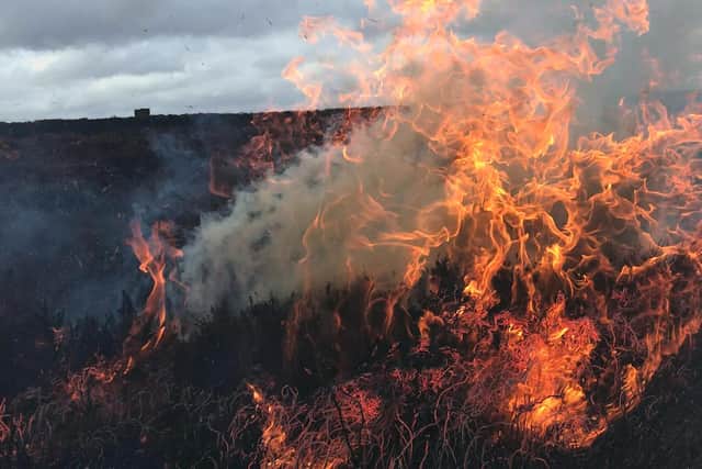 Moorland burning. Sheffield Council has backed calls for a complete ban on the practice which is contributing to climate change.