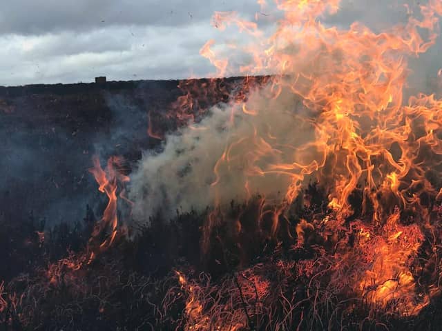 Moorland burning. Sheffield Council has backed calls for a complete ban on the practice which is contributing to climate change.