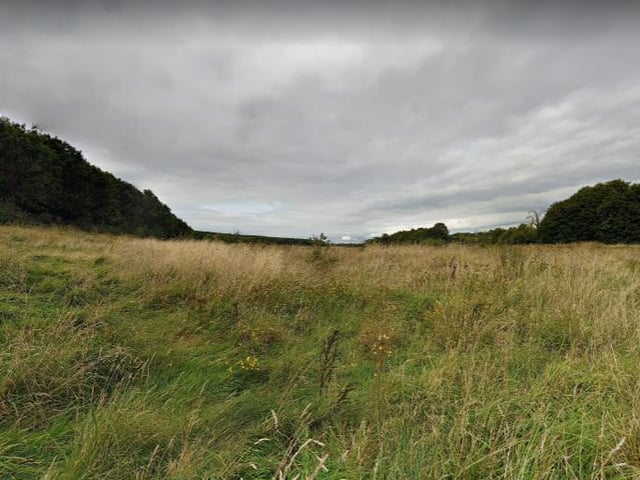 Shirebrook Wood Walk is a picturesque 4.3 kilometre loop trail located near Mansfield.