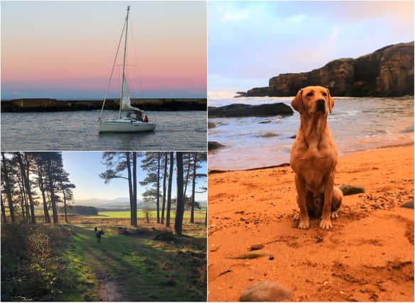 You've been sharing the best pictures you've taken across Northumberland in recent weeks.