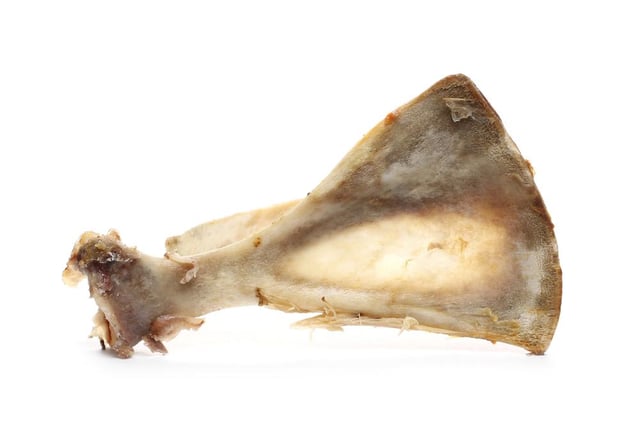 The American Kennel Club explains that cooked bones can splinter into shards that can cause choking and serious damage to a dog's mouth, throat, or intestines (Photo: Shutterstock)