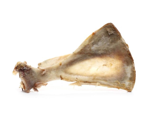The American Kennel Club explains that cooked bones can splinter into shards that can cause choking and serious damage to a dog's mouth, throat, or intestines (Photo: Shutterstock)