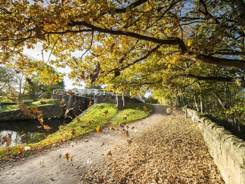  A flat, easy-going walk that follows the towpath of the historic canal. It offers a unique perspective on the city's industrial past and a peaceful waterside environment. You can start this walk from various points, but a popular one is near the Leeds city centre at Leeds Dock.