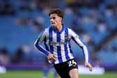 Harry Gray quickly established himself as a starter at Hillsborough.