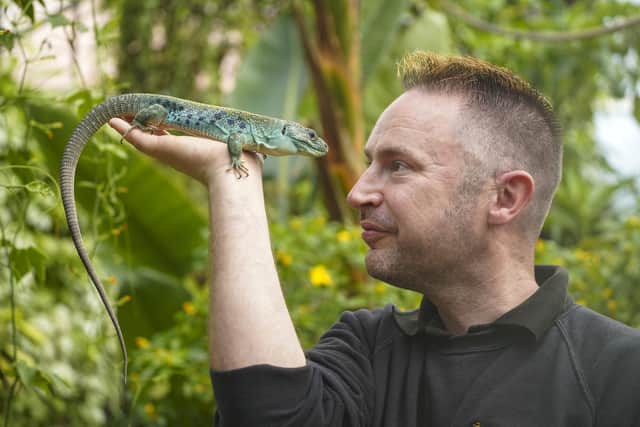 The Tropical Butterfly House is home to many different reptiles. Picture Scott Merrylees