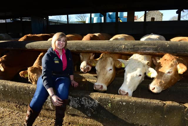 Kate McNeil who has her own herd of British Blonde cattle
