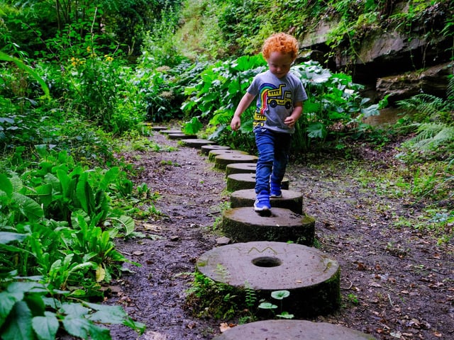 Whinfell Quarry Gardens, in Whirlow, Sheffield, is a hidden beauty spot beside the better known Whirlow Brook Park. The site was used to extract flagstones before being converted into a garden for Whinfell House in 1895 by the steel industrialist Samuel Doncaster. Today it is home to some beautiful and unusual plants and trees, including giant redwood trees from California and rhododendrons from the Himalayas. Walking beside the tranquil pond in the corner of the gardens feels like stepping back millions of years to the days of the dinosaurs.