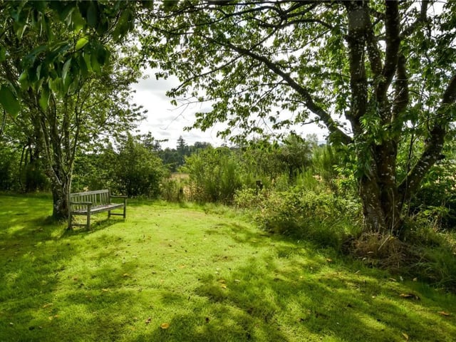 Garden.