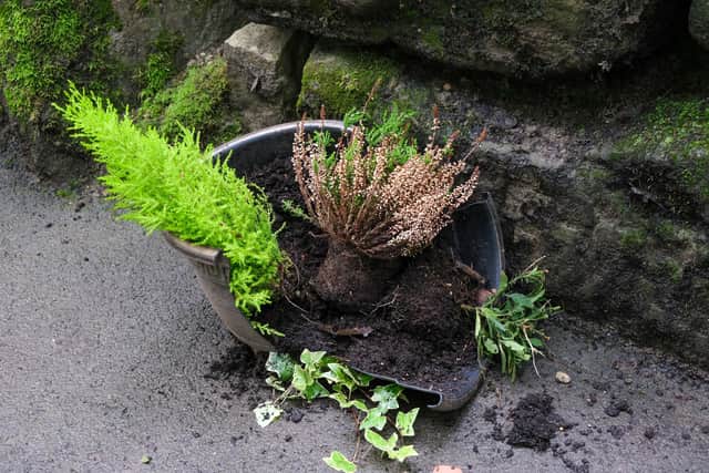 Plant pots have been smashed by vandals.